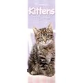 Official Rachael Hale Cats Slim Calendar 2012