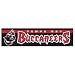 Tampa Bay Buccaneers Bumper Sticker Decal