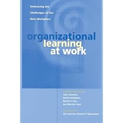 Organizational Learning at Work: Embracing the Challenges of the New Workplace