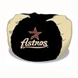 Biederlack Houston Astros Beanbag