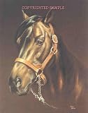 Derby Winner - Drawing by Cindy Farmer