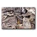 LACE ROCK 50LB