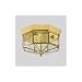 Solid Brass Hexagonal Beveled Glass Outdoor Flush Mount