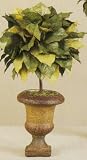 18 FLORENTINE LEMON LEAF TOPIARY 2PC