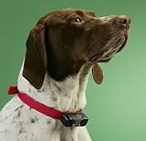 Radio Systems PetSafe  Radio Fence  Boundary Kit