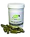 image 4 - PetAlive Skin and Coat Tonic for Healthy Skin