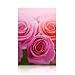 Rose by Taylor of London Perfumed Drawer Lining Paper - 5 Sheets