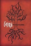 Gojira - The Link Alive