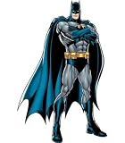 Fathead DC Comics  Batman: Justice League Wall Graphic