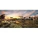 Search : Sunset at the Waterhole Jigsaw Puzzle 1000 Piece