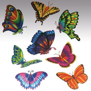 http://ecx.images-amazon.com/images/I/41WCbtouj6L.jpg