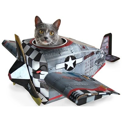 Cat Playhouse - Airplane