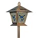 West Virginia Mountaineers NCAA Stained Glass Solar Lantern (20)
