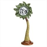 Review NetGift  / Palm Tree/Rattan Frame