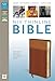 NIV, Thinline Bible, Imitation Leather, Tan/Brown, Red Letter Edition