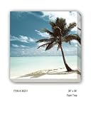 PALM TREE - Gallery Wrapped, Stretched Canvas Photograph