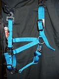 Large Turquoise Weaver Miniature Horse Mini Horse Halter