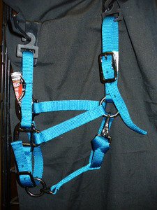 Large Turquoise Weaver Miniature Horse Mini Horse Halter