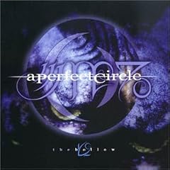 Hollow 1 by  A Perfect Circle 