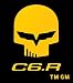 Corvette C6 Racing Bad Boy Jake Yellow Decal