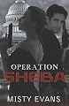 Operation Sheba