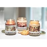 3- 6.5 oz Scented Jar Candles by Langley Candle