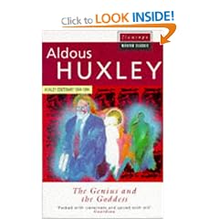 The Genius and the Goddess (Flamingo Modern Classics)