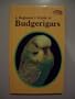 Beginner's Guide to Budgerigars