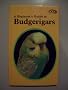 Beginner's Guide to Budgerigars
