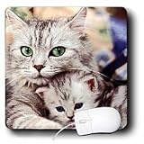 Cats - Cats - Mouse Pads