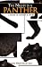 The Night is a Panther: A Book of Poetry & Prose