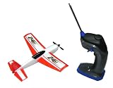 Z-Wingz Single Wing Remote Control Plane