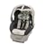 Evenflo Embrace LX Infant Car Seat - Centerville