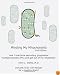Minding My Mitochondria: How I Overcame Secondary Progressive  Multiple Sclerosis (MS) and Got Out of My Wheelchair, 2nd Edition
