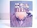 The Encyclopedia of Birds A Complete Visual Guide