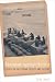 Search : Mountain against the Sea: Essays on Palestinian Society and Culture