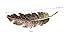 Cuhair(tm) 3pcs Leaf Design Punk Women Girl Hair Clip Pin Claw Barrettes Accessories by cuhair