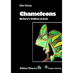 Chameleons: Nature's Hidden Jewels