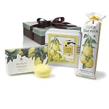 Lemons to Lemonade - Arrange a smile!