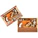 Wild west gun slinger target shooting set_s-1