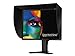 NEC SpectraView 2090 50,8 cm (20,0 Zoll) TFT LCD-Monitor schwarz (Kontrast 700:1, 8ms Reaktionszeit)