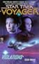 Violations (Star Trek Voyager, No 4)