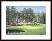 The 11th at Augusta White Dogwood by Bernard Willington 20.00X26.00 Framed with Black Wood Frame