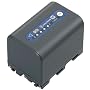 Sony NP-QM71D Super Quick High Capacity InfoLithium Camcorder Battery for DCRDVD301 & HDRSR1