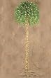 6.5' Pre-Lit Green & Gold Tinsel Palm Tree Luau Christmas Tree