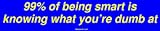 99% of being smart is knowing what you're dumb at Bumper Sticker