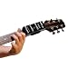 Voice Capo