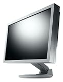 EIZO S2202WE-GY 55.9 cm (22 Zoll) widescreen TFT Monitor