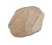 Confronta prezzi Ridder Atlantic 7223090-350 Tappeto 100% poliacrilico ca. 60x100 cm colore: Beige