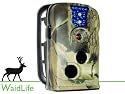 Waid-Life Wildkamera 12 MP! 3-Sensoren Fotofalle ! v&ouml;llig unsichtbarer Blitz!!